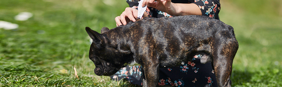 Zu Ihrer Information: